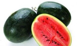 珍姓网红吃瓜,吃瓜界的风云人物